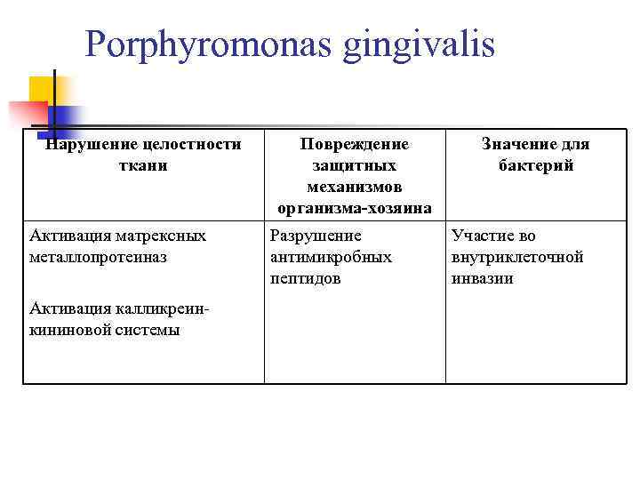 Porphyromonas gingivalis. Porphyromonas gingivalis микробиология. Porphyromonas gingivalis перевод. Порфиромонады микробиология.