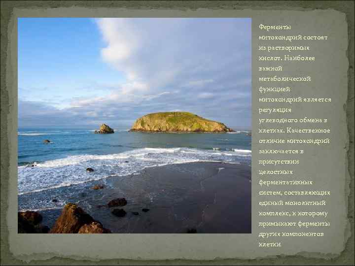 Ферменты митохондрий состоят из растворимых кислот. Наиболее важной метаболической функцией митохондрий является регуляция углеводного