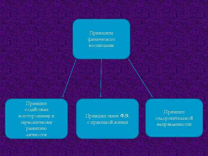     Принципы    физического    воспитания 