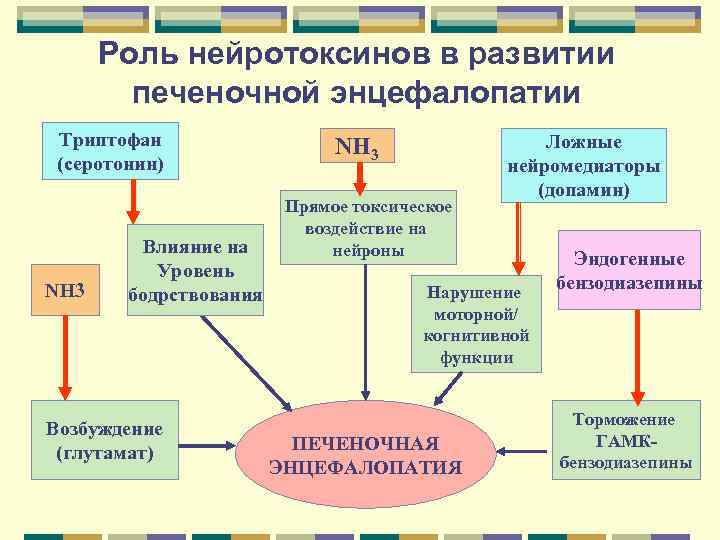 Роль нейротоксинов в развитии печеночной энцефалопатии Триптофан (серотонин) NH 3 Влияние на Уровень бодрствования