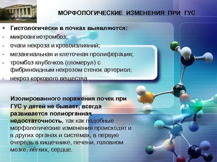 LOGO § - МОРФОЛОГИЧЕСКИЕ ИЗМЕНЕНИЯ ПРИ ГУС Гистологически в почках выявляются: микроангиотромбоз; очаги некроза