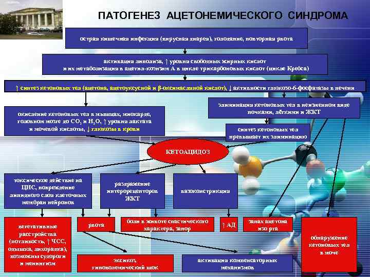 Ацетонемический криз. Ацетонемический криз патогенез. Патогенез ацетонемического синдрома. Ацетонемическое состояние патогенез. Ацетонемическая рвота патогенез.