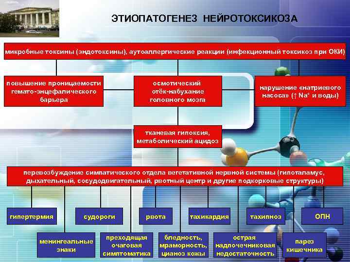 ЭТИОПАТОГЕНЕЗ НЕЙРОТОКСИКОЗА LOGO микробные токсины (эндотоксины), аутоаллергические реакции (инфекционный токсикоз при ОКИ) повышение проницаемости