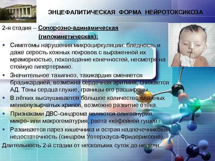 LOGO ЭНЦЕФАЛИТИЧЕСКАЯ ФОРМА НЕЙРОТОКСИКОЗА 2 -я стадия – Сопорозно-адинамическая (гипокинетическая): § Симптомы нарушения микроциркуляции: