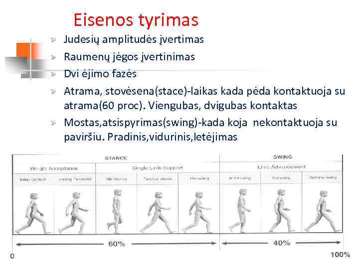Eisenos tyrimas Ø Ø Ø Judesių amplitudės įvertimas Raumenų jėgos įvertinimas Dvi ėjimo fazės