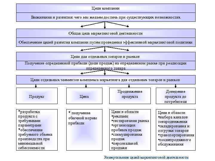 Цели компании Выживания и развития: чего мы желаем достичь при существующих возможностях Общая цель