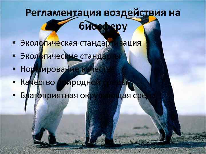 Регламентация воздействия на биосферу • • • Экологическая стандартизация Экологические стандарты Нормирование качества Качество