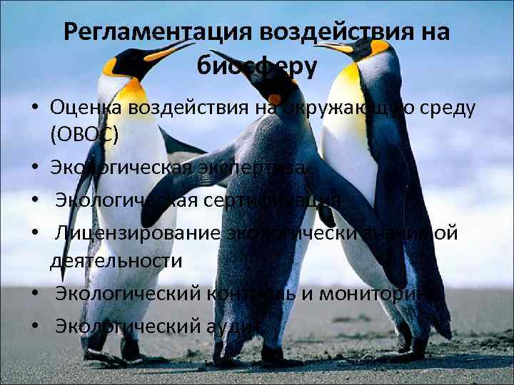 Регламентация воздействия на биосферу • Оценка воздействия на окружающую среду (ОВОС) • Экологическая экспертиза