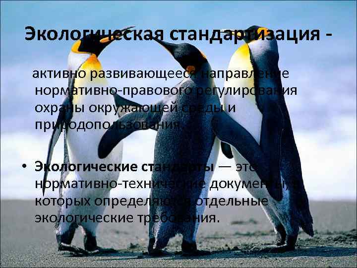 Экологическая стандартизация активно развивающееся направление нормативно-правового регулирования охраны окружающей среды и природопользования. • Экологические
