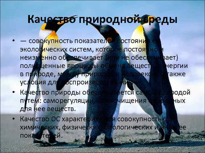 Качество природной среды • — совокупность показателей состояния ее экологических систем, которое постоянно и