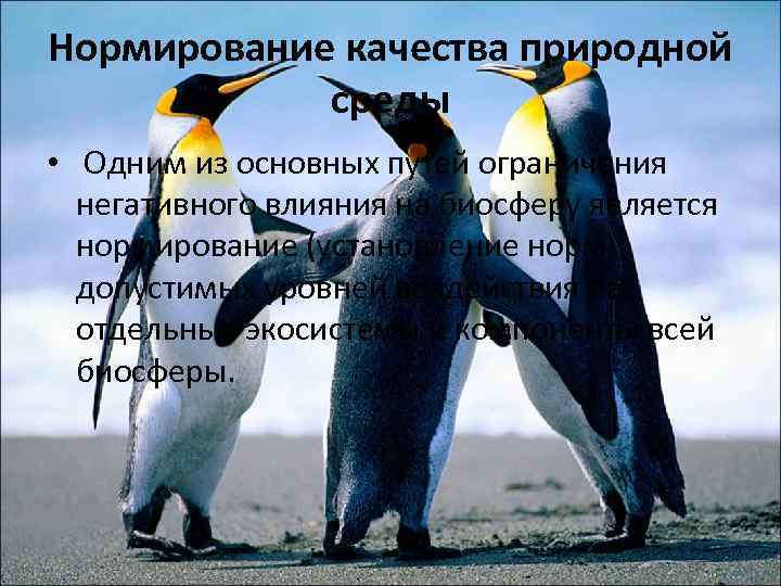 Нормирование качества природной среды • Одним из основных путей ограничения негативного влияния на биосферу