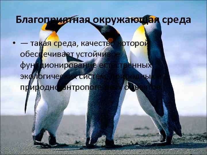 Благоприятная окружающая среда • — такая среда, качество которой обеспечивает устойчивое функционирование естественных экологических