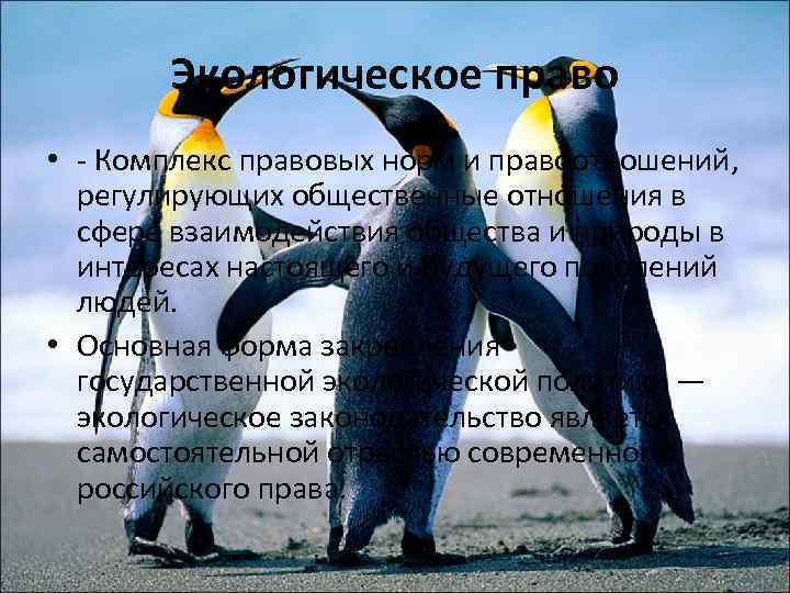 Экологическое право • - Комплекс правовых норм и правоотношений, регулирующих общественные отношения в сфере