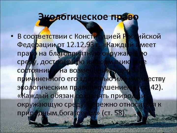 Экологическое право • В соответствии с Конституцией Российской Федерации от 12. 93 г. «Каждый