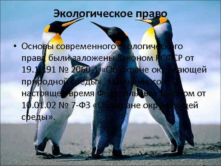 Экологическое право • Основы современного экологического права были заложены Законом РСФСР от 19. 12.