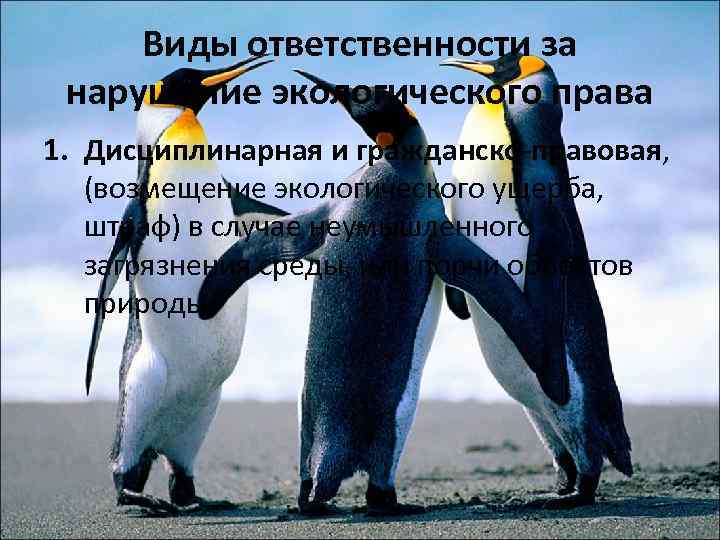 Виды ответственности за нарушение экологического права 1. Дисциплинарная и гражданско-правовая, (возмещение экологического ущерба, штраф)