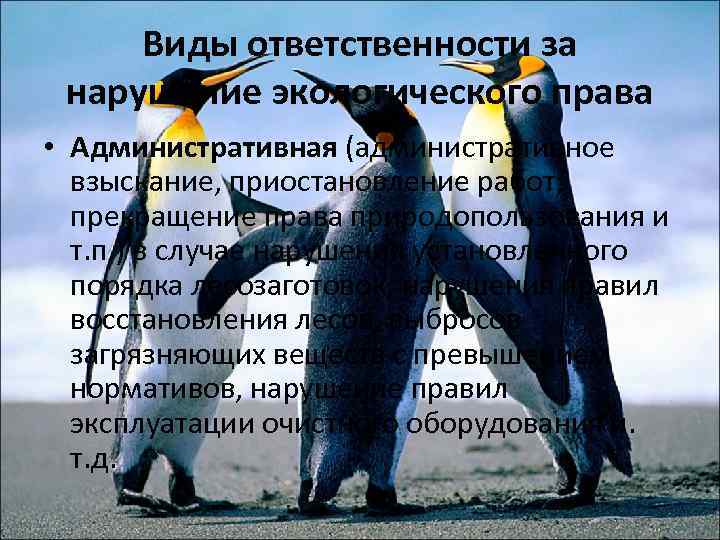 Виды ответственности за нарушение экологического права • Административная (административное взыскание, приостановление работ, прекращение права