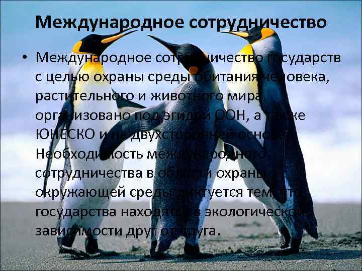 Международное сотрудничество • Международное сотрудничество государств с целью охраны среды обитания человека, растительного и