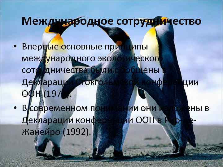 Международное сотрудничество • Впервые основные принципы международного экологического сотрудничества были обобщены в Декларации Стокгольмской