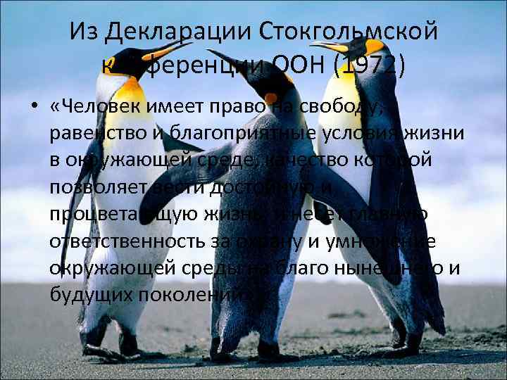Из Декларации Стокгольмской конференции ООН (1972) • «Человек имеет право на свободу, равенство и