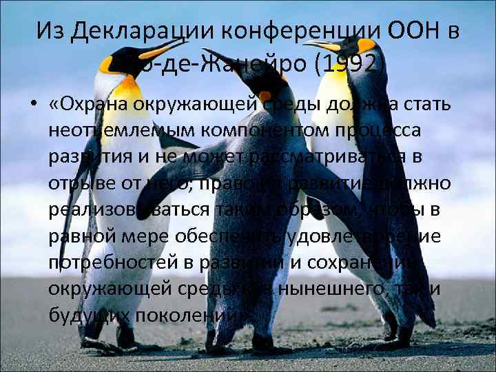 Из Декларации конференции ООН в Рио-де-Жанейро (1992) • «Охрана окружающей среды должна стать неотъемлемым