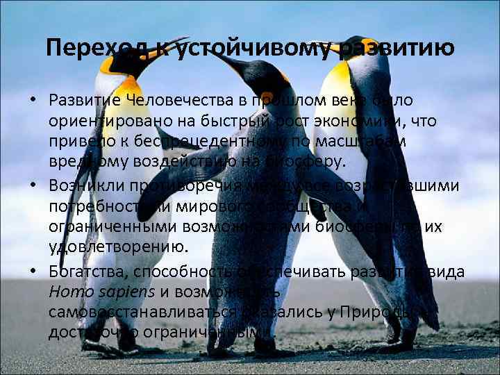 Переход к устойчивому развитию • Развитие Человечества в прошлом веке было ориентировано на быстрый