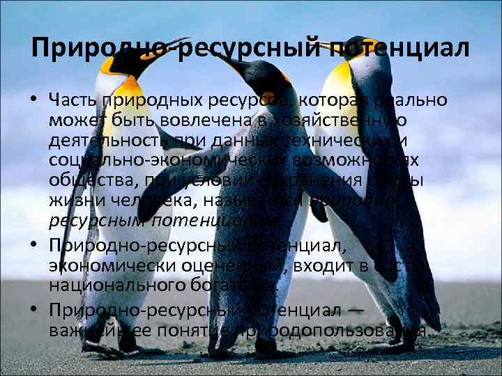 Природно-ресурсный потенциал • Часть природных ресурсов, которая реально может быть вовлечена в хозяйственную деятельность