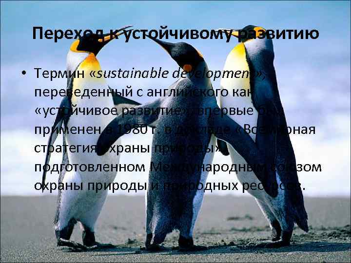 Переход к устойчивому развитию • Термин «sustainable development» , переведенный с английского как «устойчивое