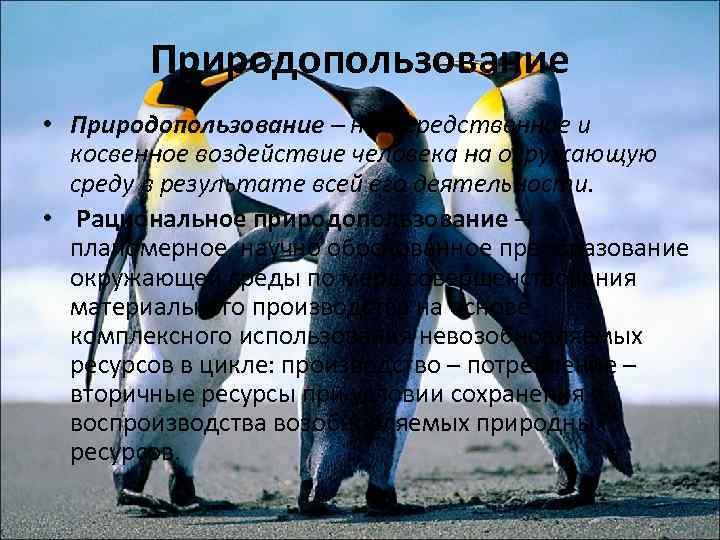 Природопользование • Природопользование – непосредственное и косвенное воздействие человека на окружающую среду в результате