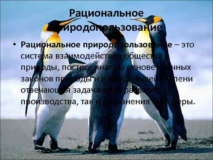 Рациональное природопользование • Рациональное природопользование – это система взаимодействия общества и природы, построенная на