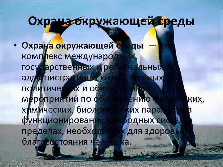 Охрана окружающей среды • Охрана окружающей среды — это комплекс международных, государственных и региональных,