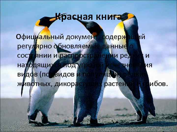 Красная книга Официальный документ, содержащий регулярно обновляемые данные о состоянии и распространении редких и
