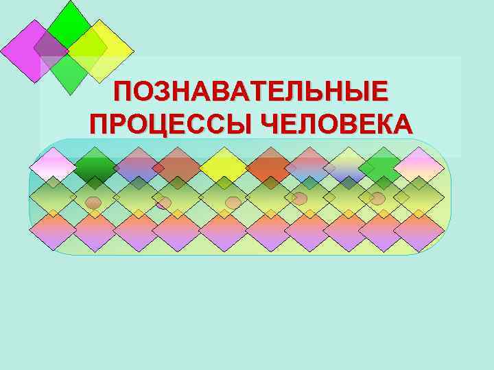 ПОЗНАВАТЕЛЬНЫЕ ПРОЦЕССЫ ЧЕЛОВЕКА 