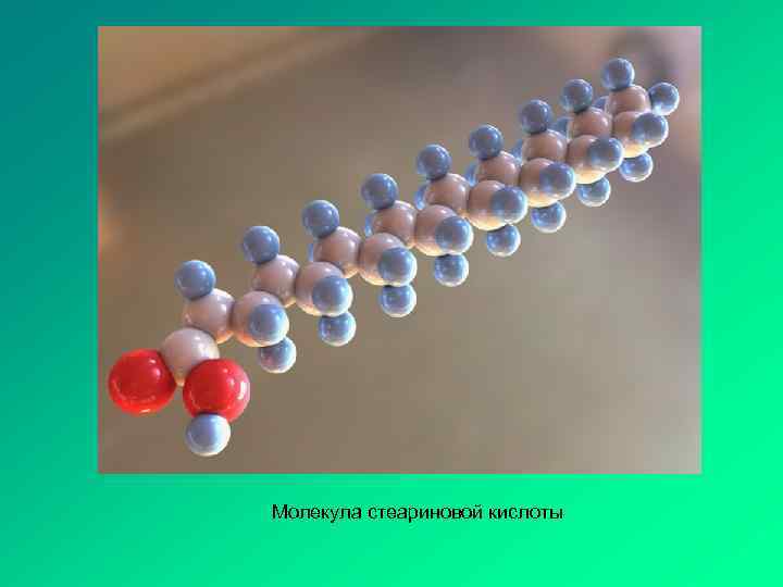 5 молекул вещества. Стеариновая кислота молекула. Стеариновая кислота гибридизация. Стеариновая кислота 18.