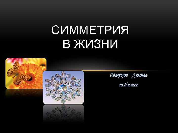 СИММЕТРИЯ В ЖИЗНИ Шкирдов Данила 10 б класс 