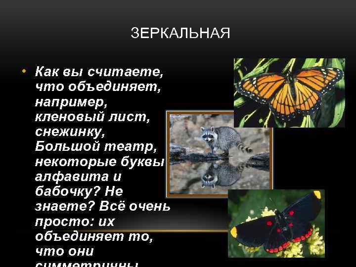 ЗЕРКАЛЬНАЯ • Как вы считаете, что объединяет, например, кленовый лист, снежинку, Большой театр, некоторые