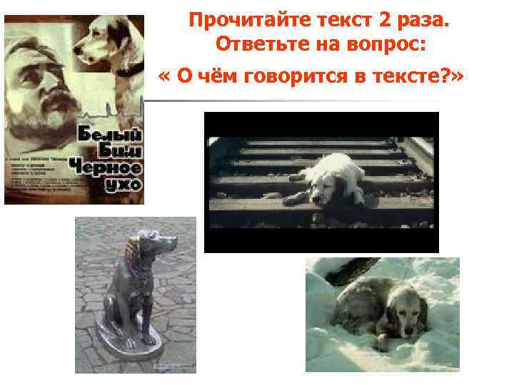 Прочитайте текст 2 раза. Ответьте на вопрос: « О чём говорится в тексте? »