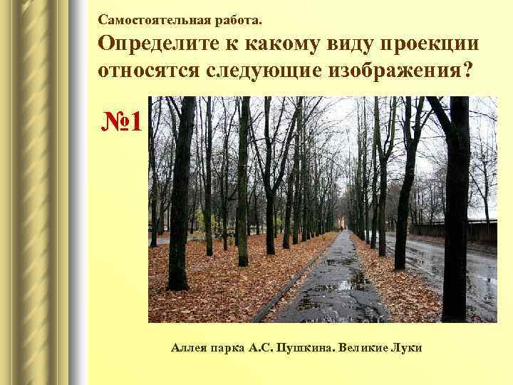 Самостоятельная работа. Определите к какому виду проекции относятся следующие изображения? № 1 Аллея парка