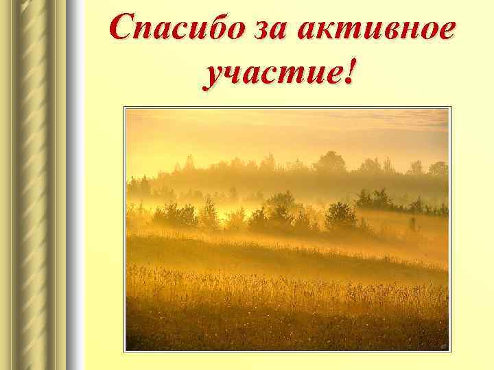 Спасибо за активное участие! 