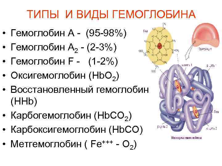 Виды гемоглобина. Оксигемоглобин это соединение гемоглобина с. Оксигемоглобин и карбогемоглобин. Гемоглобин оксигемоглобин карбоксигемоглобин метгемоглобин. Оксигемоглобин восстановленный гемоглобин.