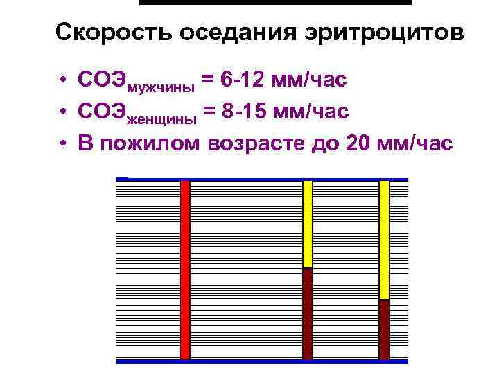 Скорость оседания эритроцитов • СОЭмужчины = 6 -12 мм/час • СОЭженщины = 8 -15