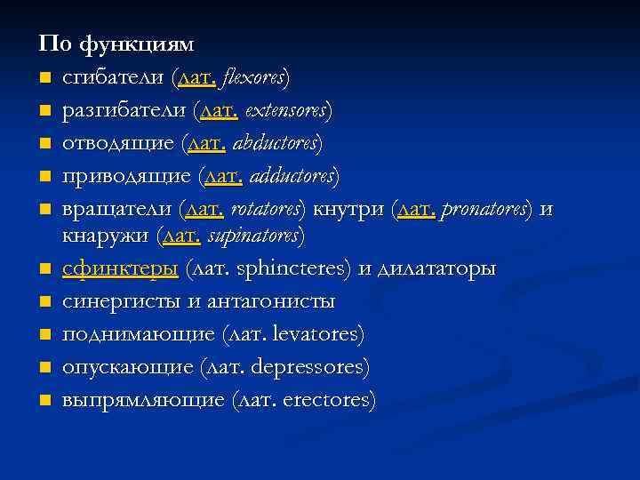 По функциям n сгибатели (лат. flexores) n разгибатели (лат. extensores) n отводящие (лат. abductores)