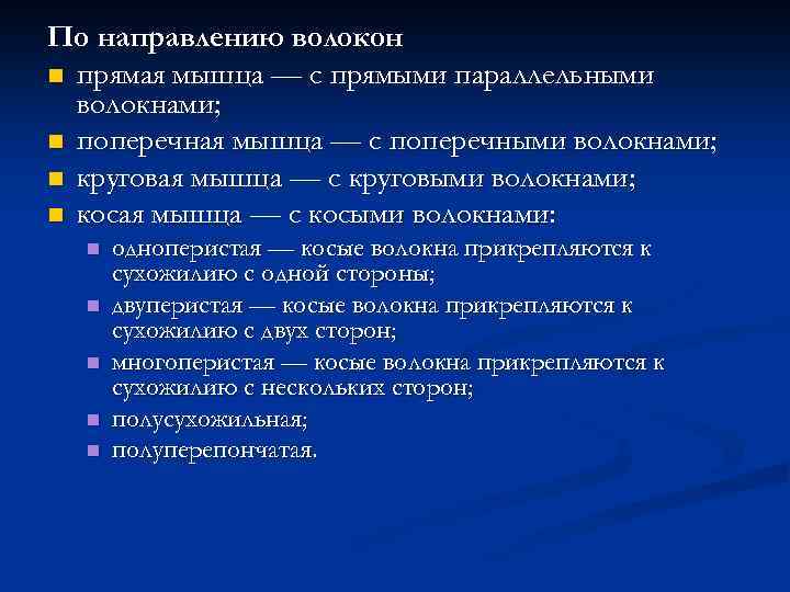 По направлению волокон n прямая мышца — с прямыми параллельными волокнами; n поперечная мышца
