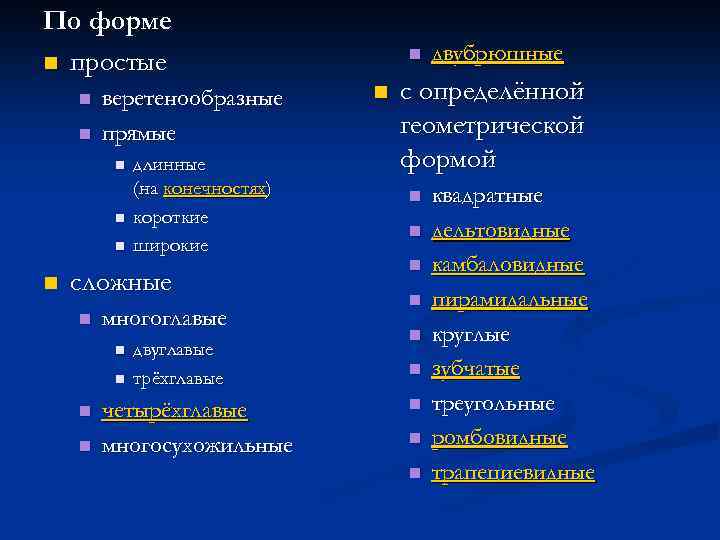 По форме n простые n n веретенообразные прямые n n длинные (на конечностях) короткие