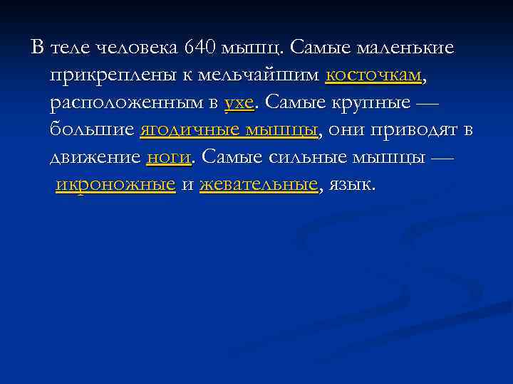 В теле человека 640 мышц. Самые маленькие прикреплены к мельчайшим косточкам, расположенным в ухе.