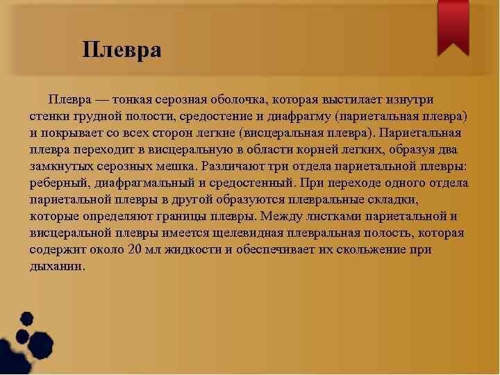 Плевра — тонкая серозная оболочка, которая выстилает изнутри стенки грудной полости, средостение и диафрагму