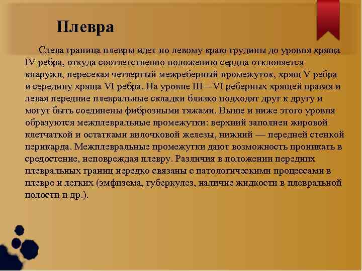 Плевра Слева граница плевры идет по левому краю грудины до уровня хряща IV ребра,
