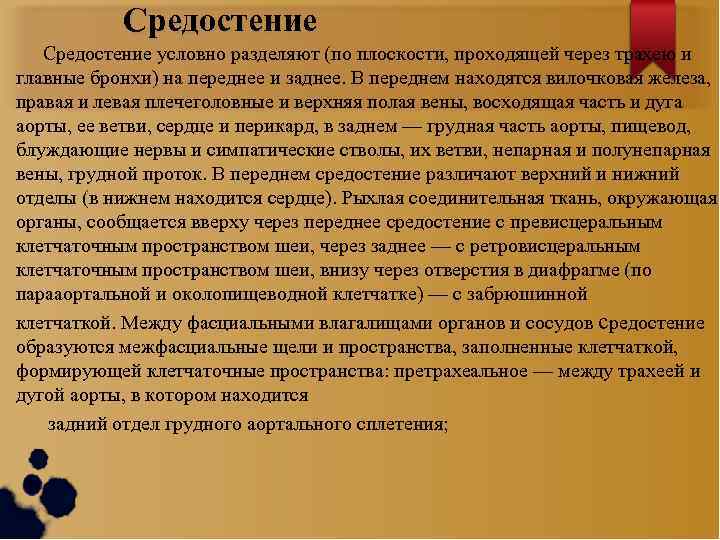 Средостение условно разделяют (по плоскости, проходящей через трахею и главные бронхи) на переднее и