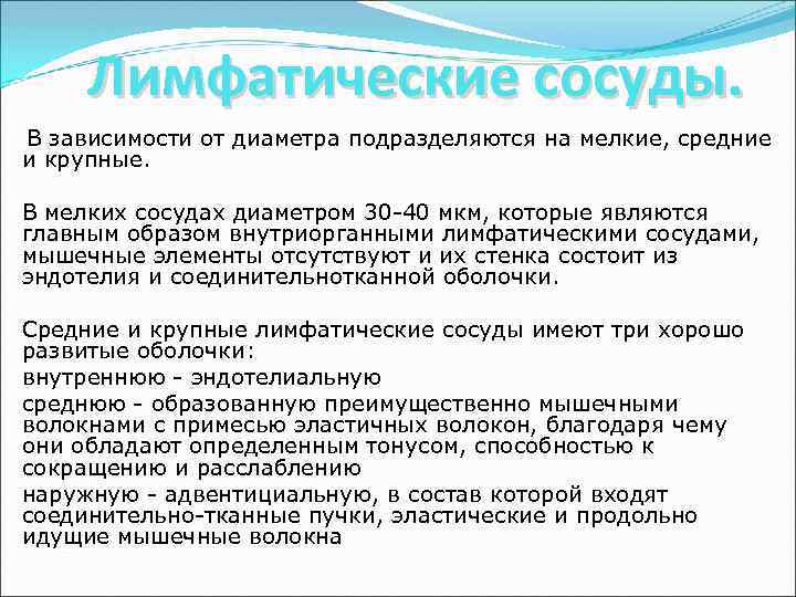 Лимфатические сосуды. В зависимости от диаметра подразделяются на мелкие, средние и крупные. В мелких