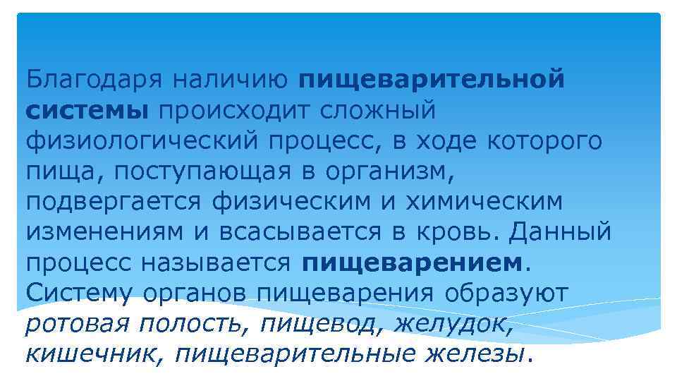 Благодаря наличию пищеварительной системы происходит сложный физиологический процесс, в ходе которого пища, поступающая в